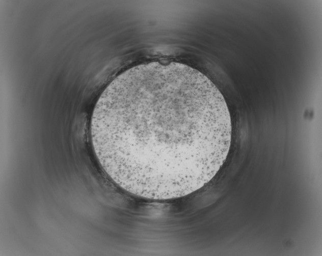 X0000114020328200911131232