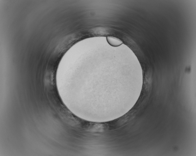 X0000114020330200911131232