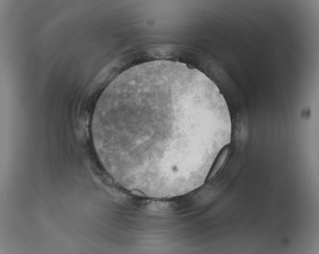 X0000114020332200911131232