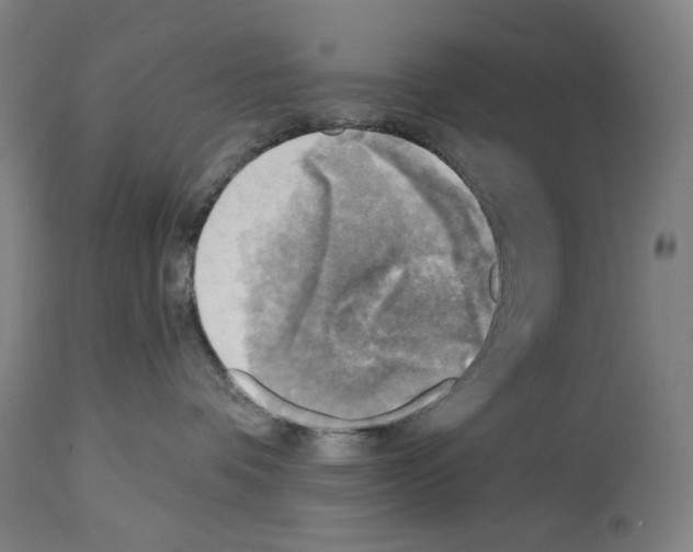 X0000114020336200911131232