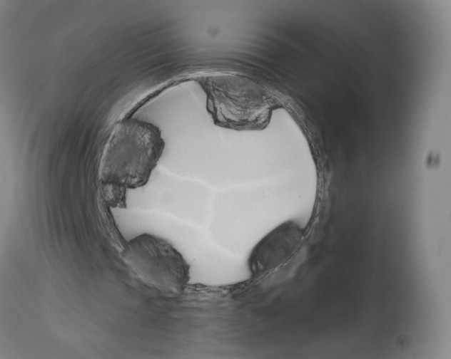 X0000114020337200911131231