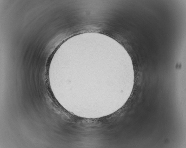 X0000114020338200911131231