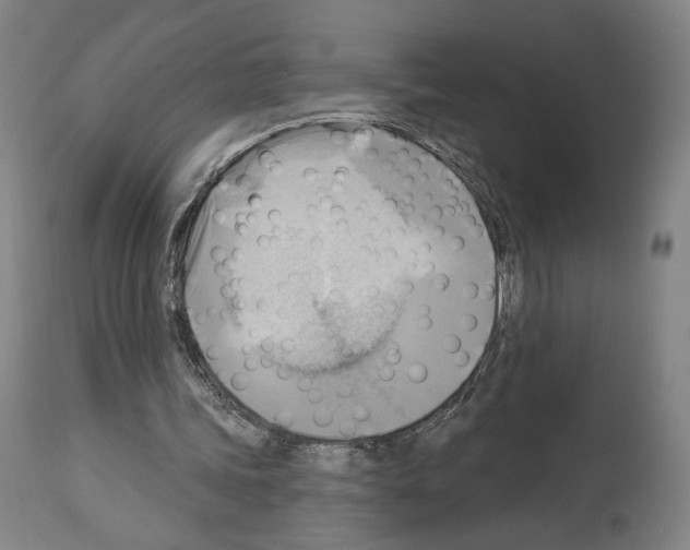 X0000114020339200911131232