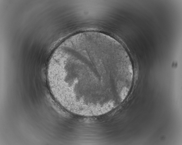 X0000114020345200911131232