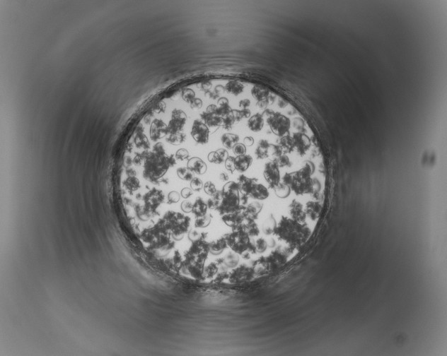 X0000114020346200911131232