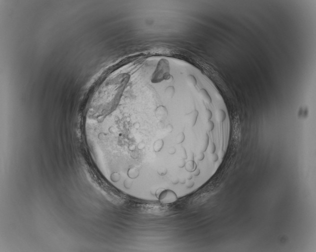 X0000114020347200911131232