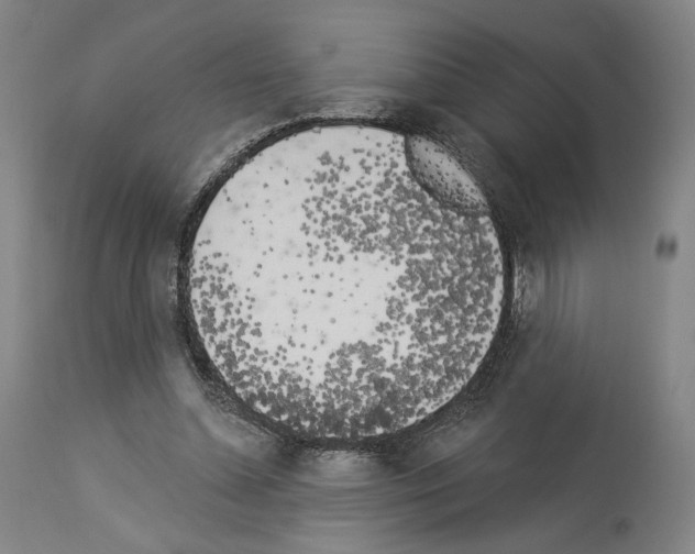 X0000114020348200911131232