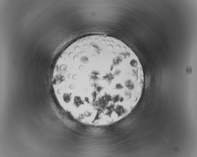 X0000114020349200911131232