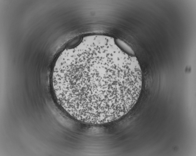 X0000114020350200911131232