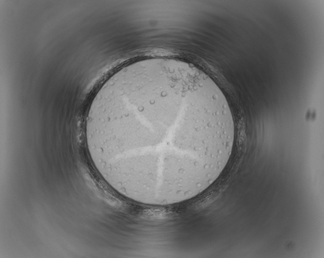 X0000114020351200911131232