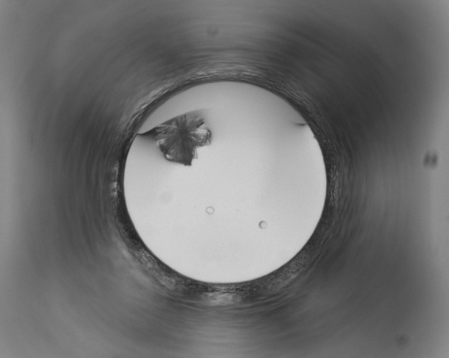 X0000114020356200911131232