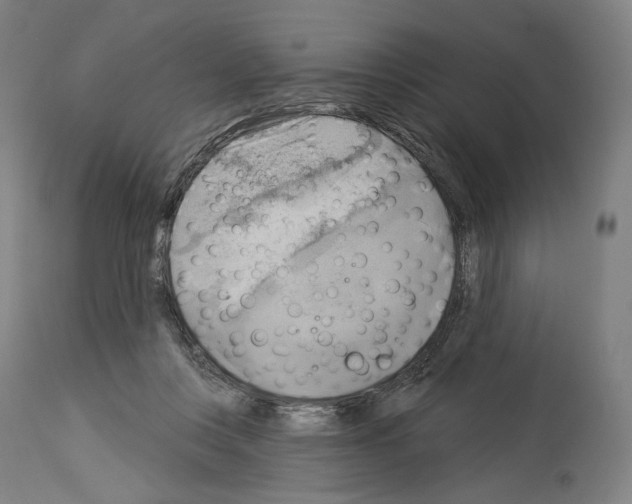 X0000114020359200911131232