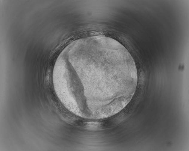 X0000114020363200911131232