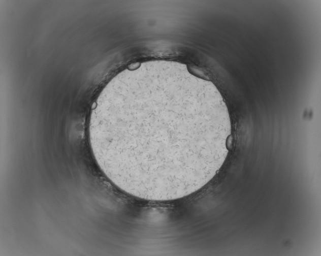 X0000114020368200911131232