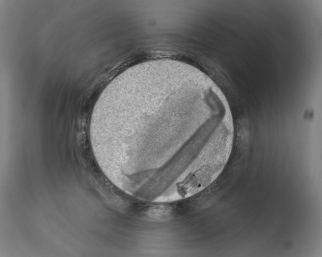 X0000114020369200911131232