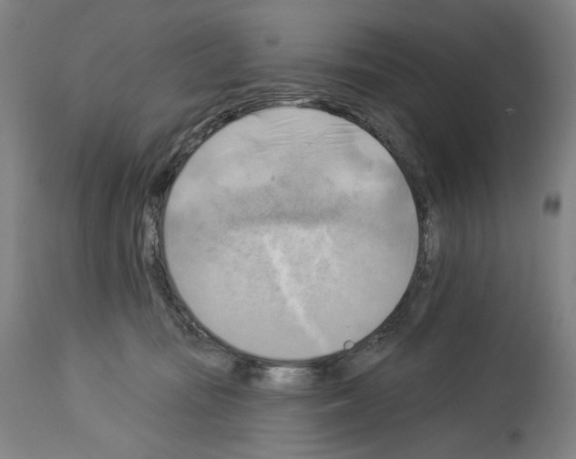 X0000114020371200911131232