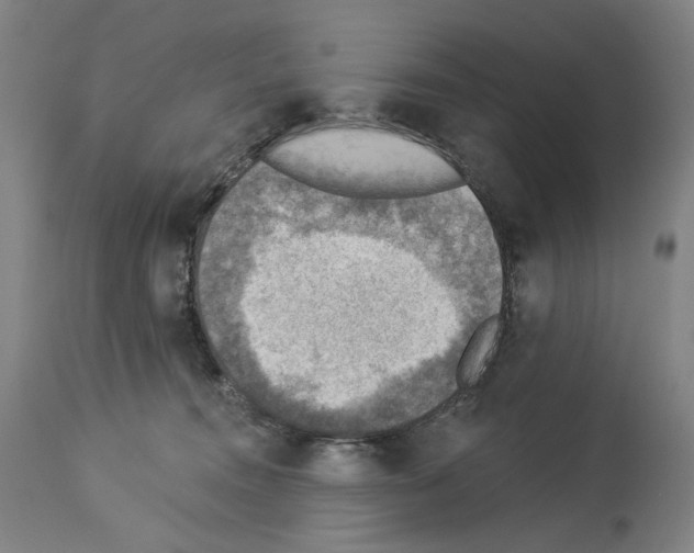 X0000114020372200911131232