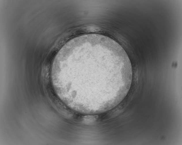 X0000114020373200911131232