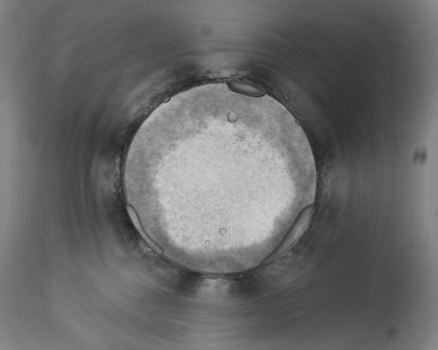 X0000114020376200911131232