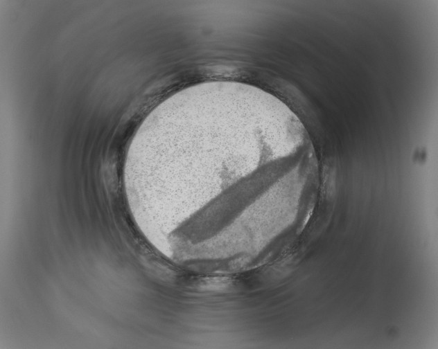 X0000114020377200911131232