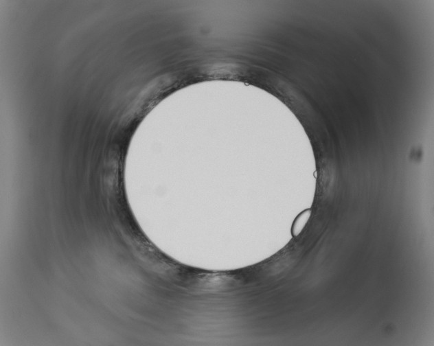 X0000114020379200911131232