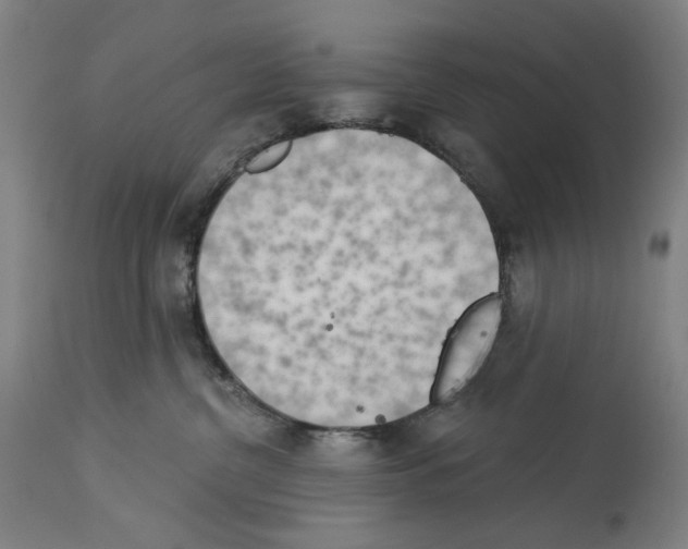 X0000114020380200911131232