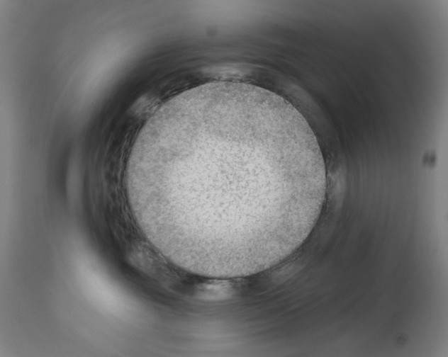 X0000114020381200911131232