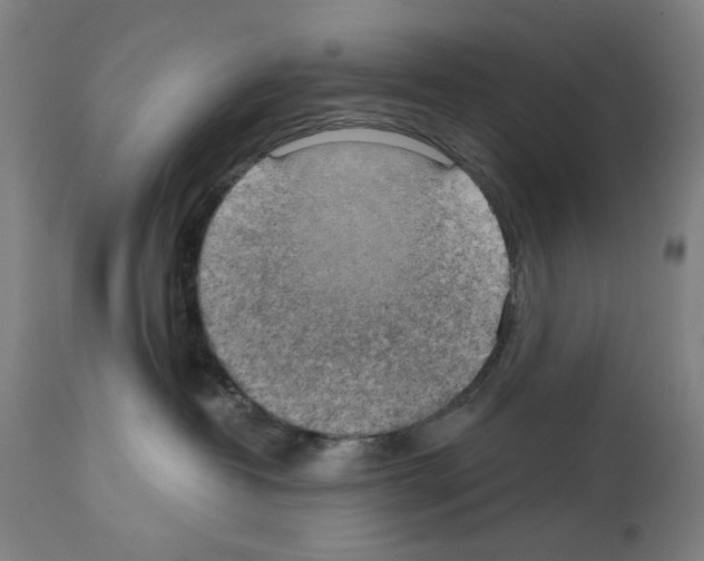 X0000114020382200911131232