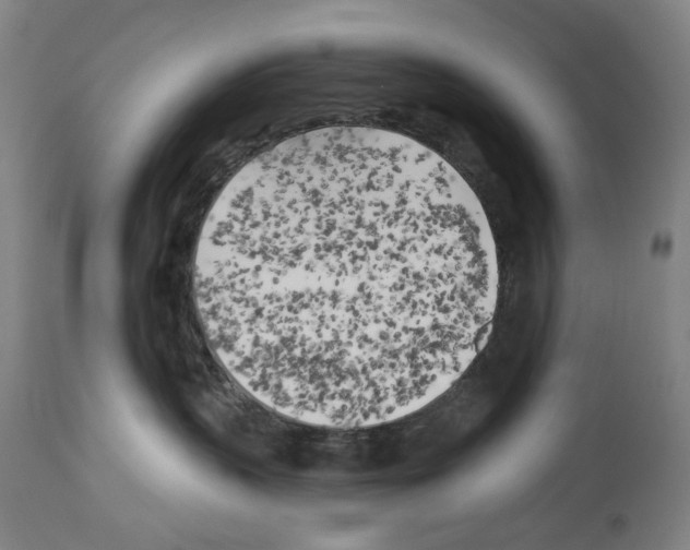 X0000114020383200911131232