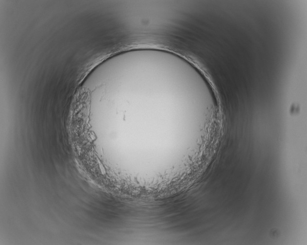 X0000114020385200911131231