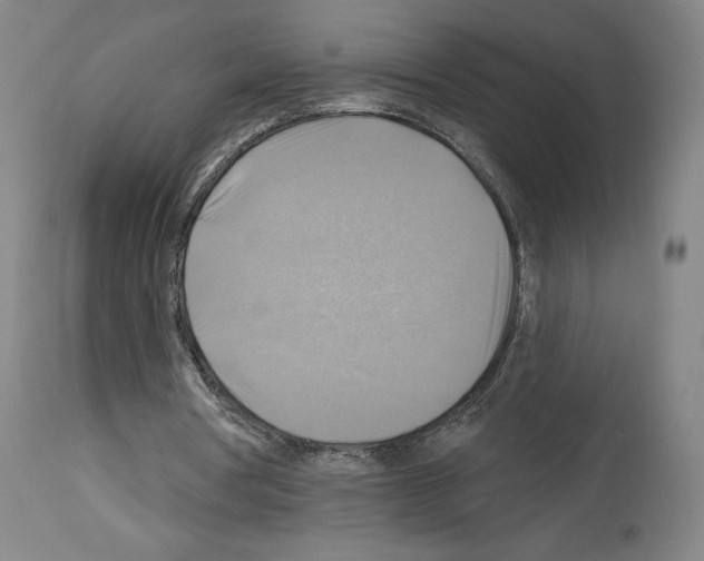 X0000114020386200911131231