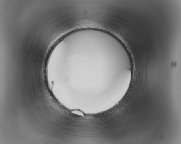 X0000114020391200911131231