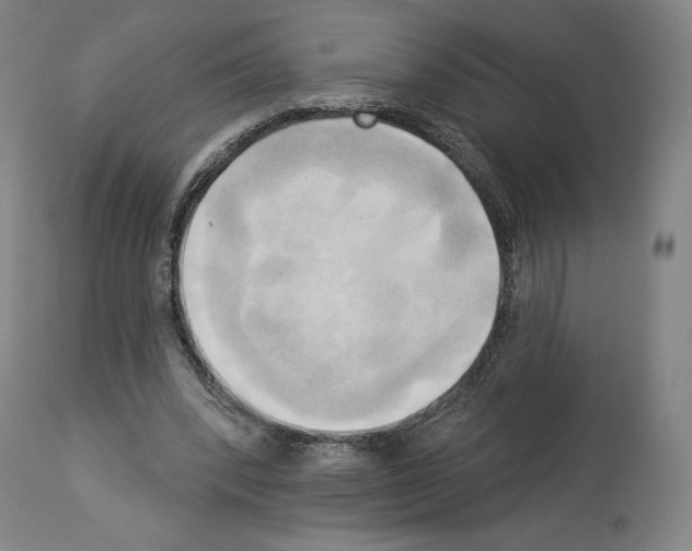 X0000114020392200911131231