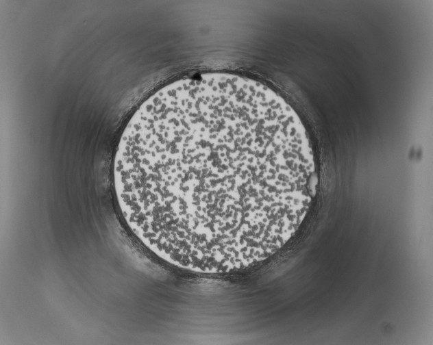 X0000114020393200911131231