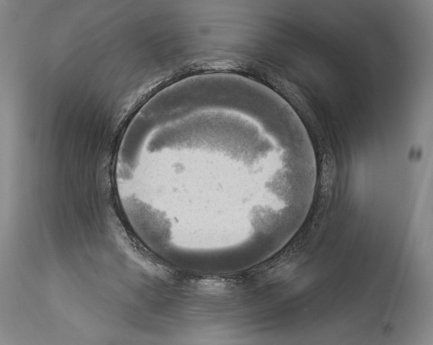 X0000114020394200911131231