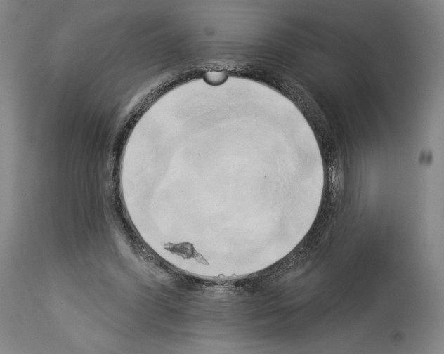 X0000114020396200911131231