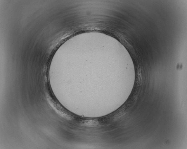 X0000114020398200911131231