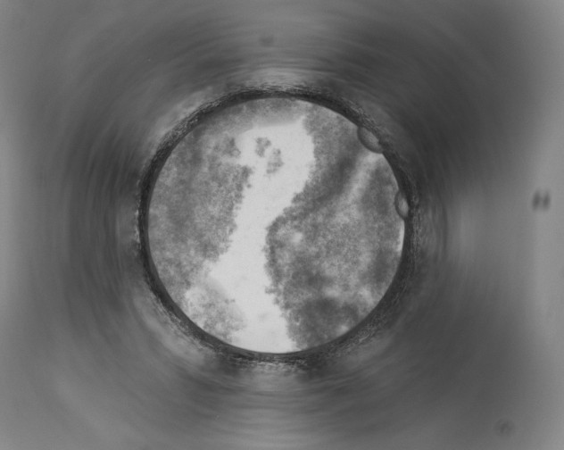 X0000114020399200911131231