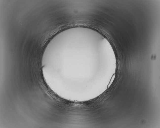 X0000114020401200911131231