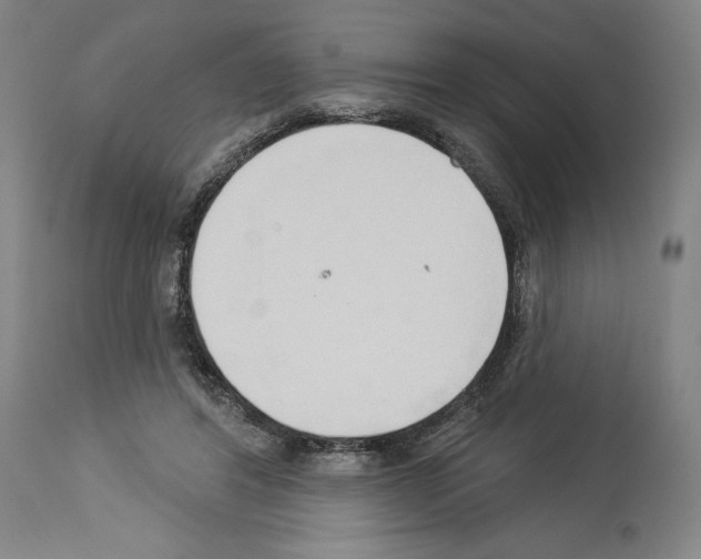 X0000114020404200911131231