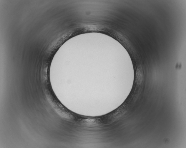 X0000114020406200911131231