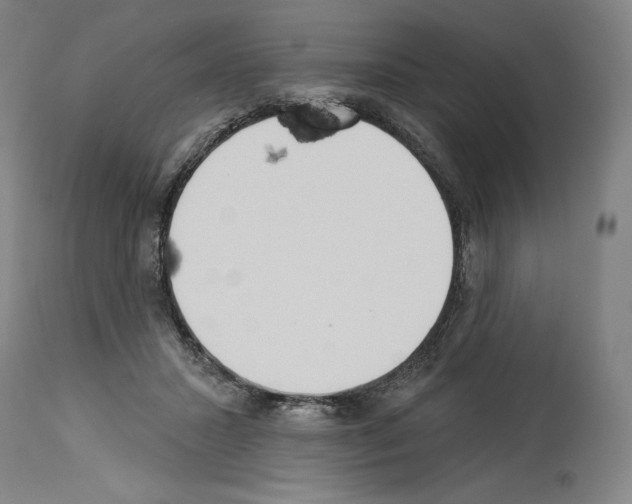 X0000114020407200911131231