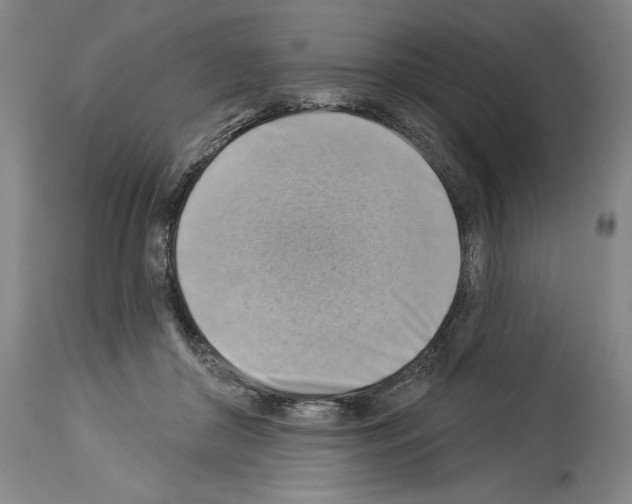 X0000114020410200911131231