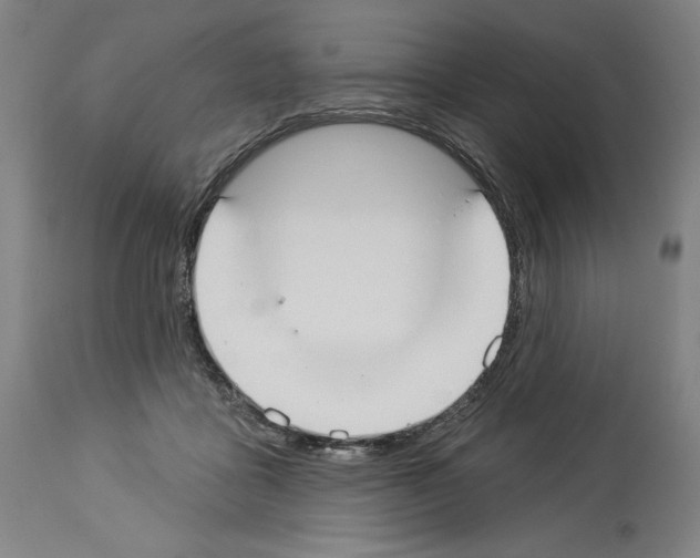 X0000114020411200911131231