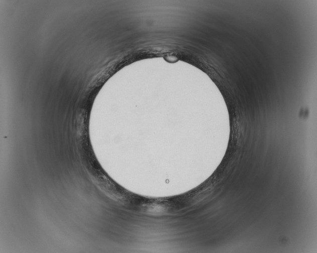 X0000114020412200911131231