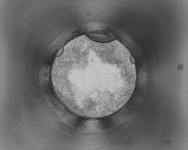 X0000114020413200911131231