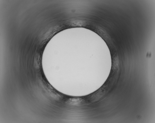 X0000114020414200911131231