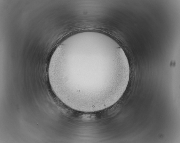 X0000114020415200911131231