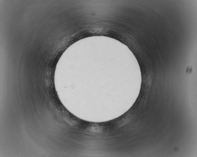 X0000114020416200911131231