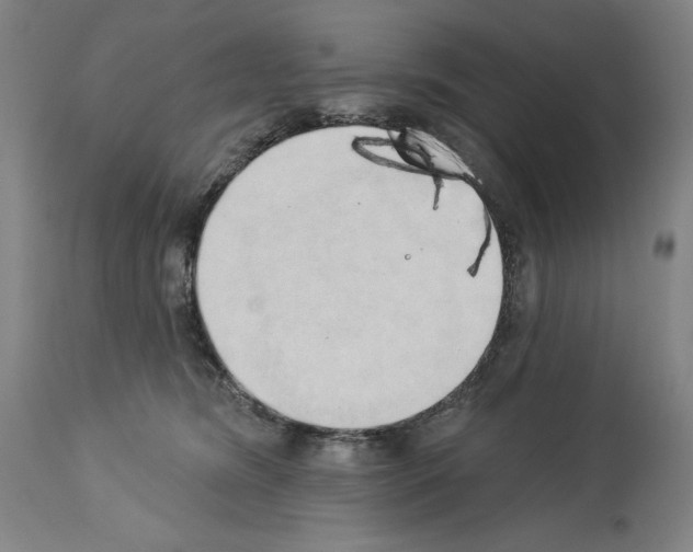 X0000114020420200911131231